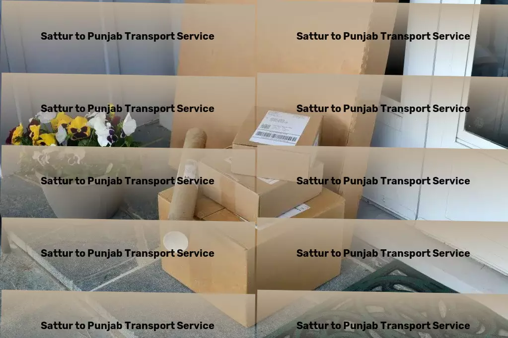 Sattur to Punjab Transport Citywide package shipping