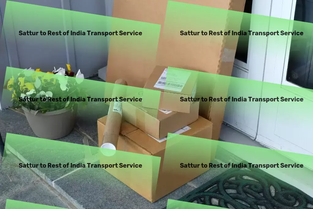 Sattur to Rest Of India Transport Professional movers