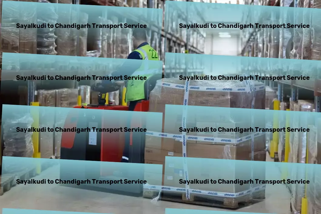 Sayalkudi to Chandigarh Transport Long-distance logistics services