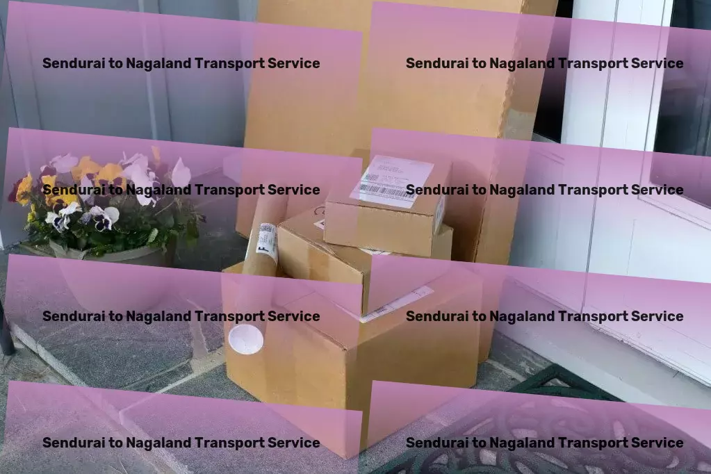 Sendurai to Nagaland Transport Express package services