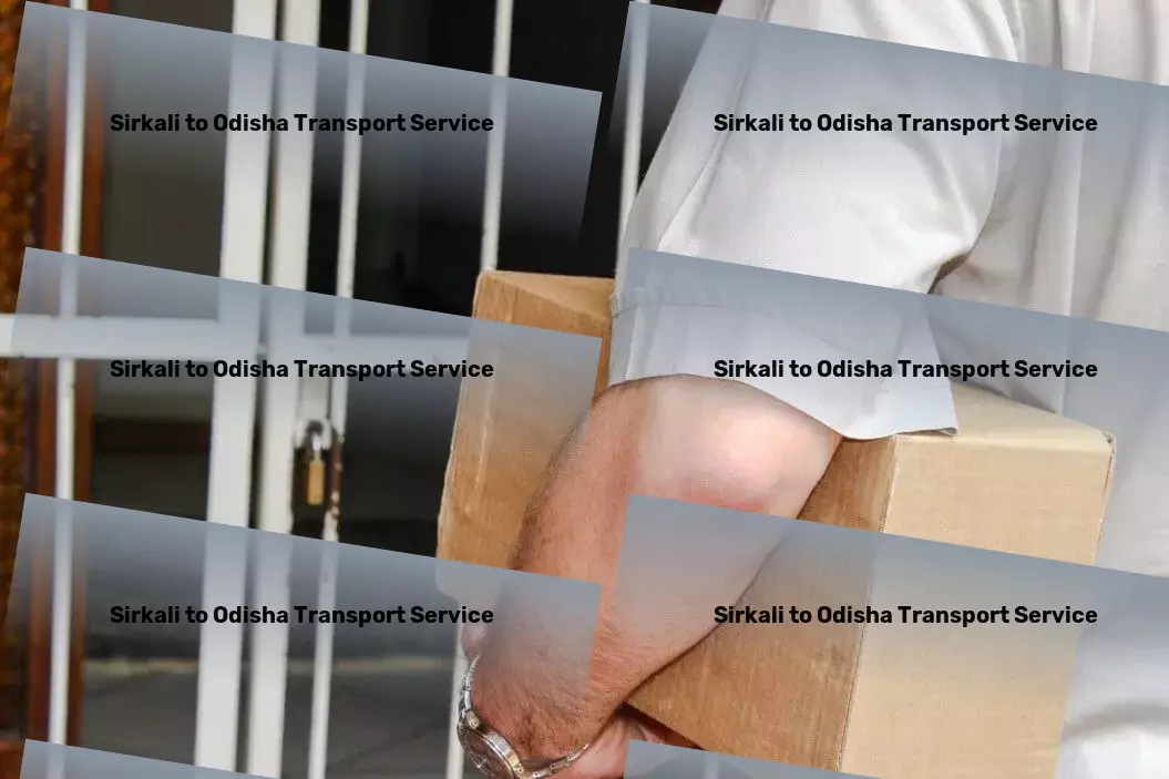 Sirkali to Odisha Transport Professional courier services