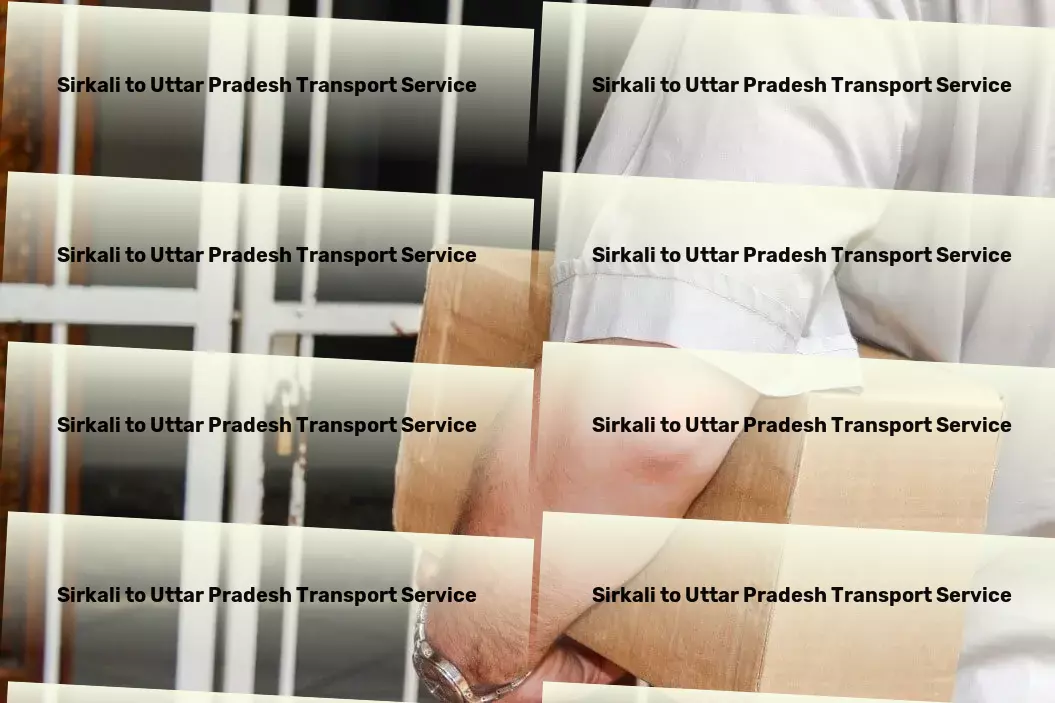 Sirkali to Uttar Pradesh Transport Specialized package shipment