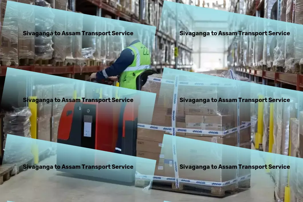 Sivaganga to Assam Transport Unparalleled expertise in Indian goods transit! - Efficient cargo forwarding services