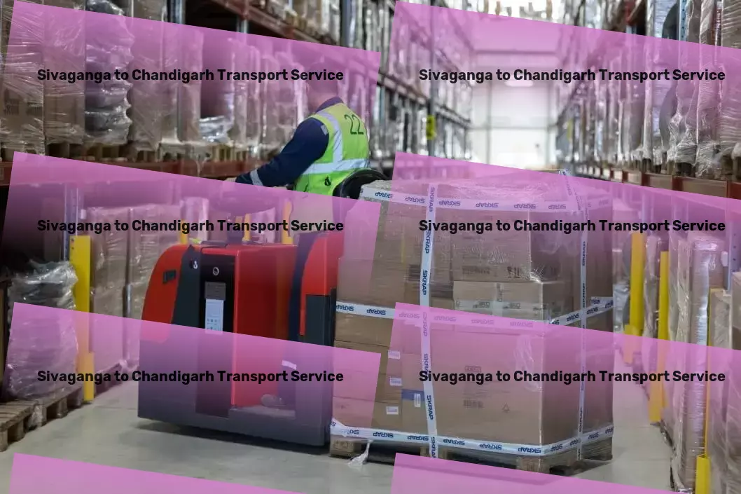 Sivaganga to Chandigarh Transport Regional parcel logistics