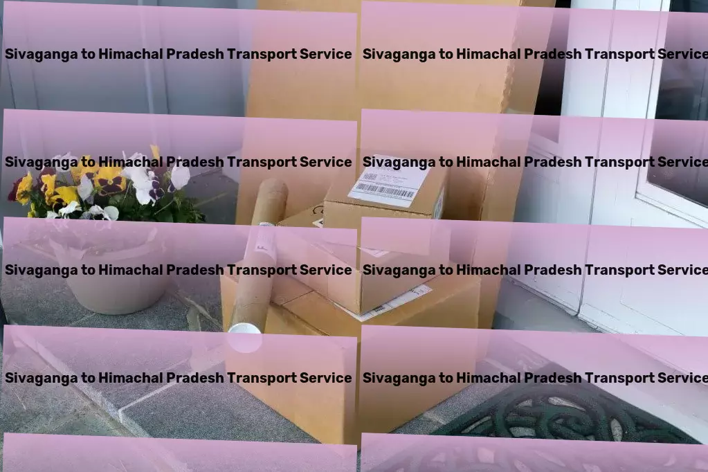 Sivaganga to Himachal Pradesh Transport Professional road freight services