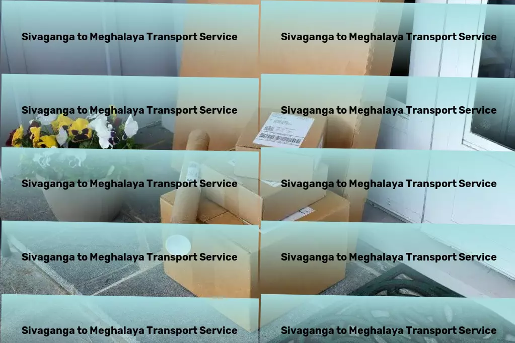 Sivaganga to Meghalaya Transport Fast goods shipment solutions