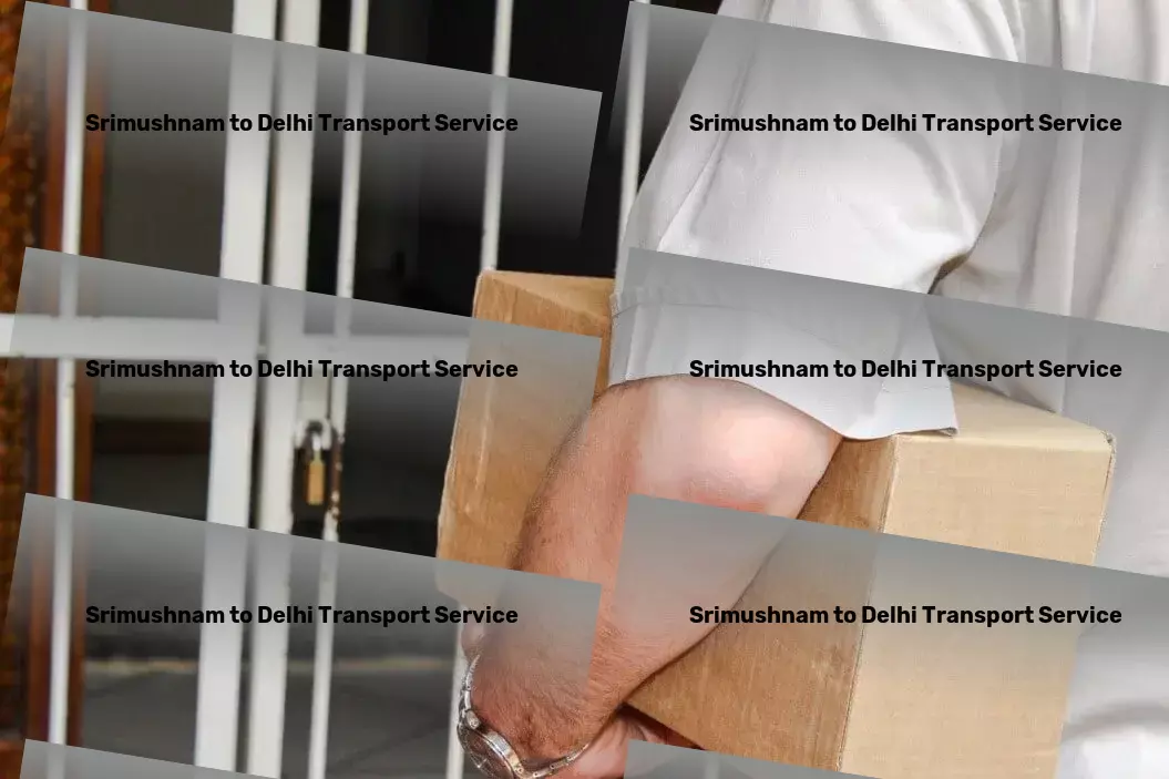 Srimushnam to Delhi Transport The bridge to overcoming India's logistic hurdles. - Express cargo shipment services