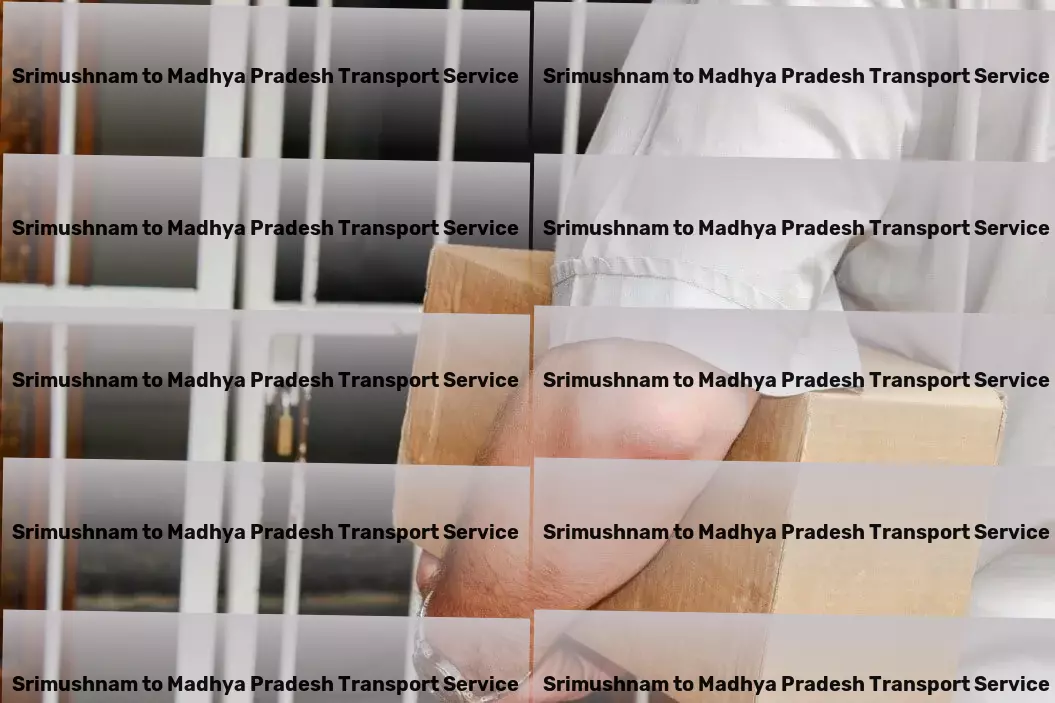 Srimushnam to Madhya Pradesh Transport Keeping India moving with top-tier logistic strategies. - Personal goods delivery