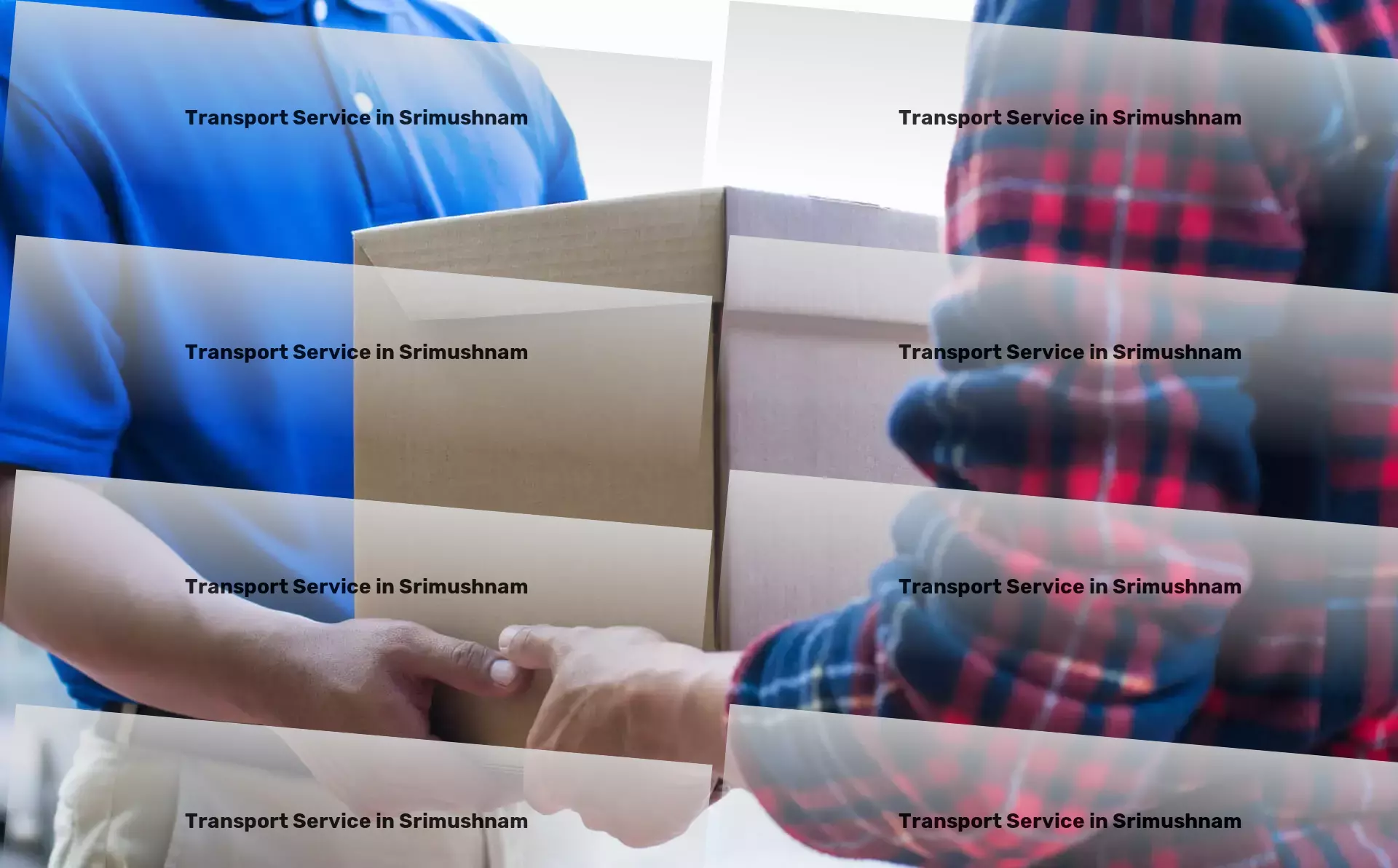 Packers And Movers in Srimushnam, Tamil Nadu (TN) Specialized package delivery