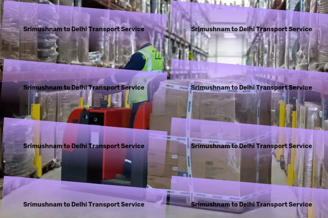 Srimushnam to Delhi Transport Streamlining your supply chain from start to finish in India. - Rapid cargo solutions