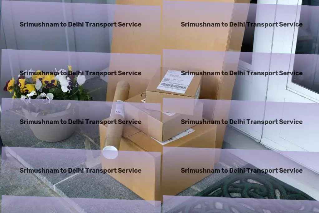 Srimushnam to Delhi Transport Custom goods transport services