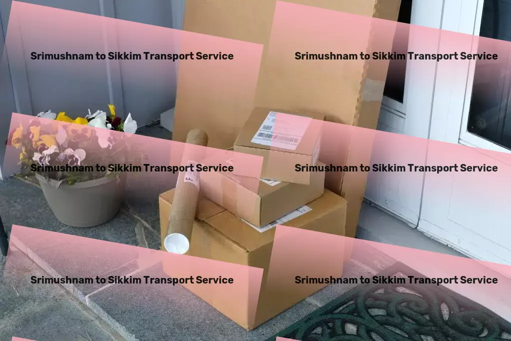 Srimushnam to Sikkim Transport Your guide to conquering the chaos of city commuting! - Specialized furniture shipping