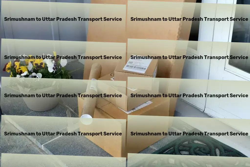 Srimushnam to Uttar Pradesh Transport Heavy cargo logistics