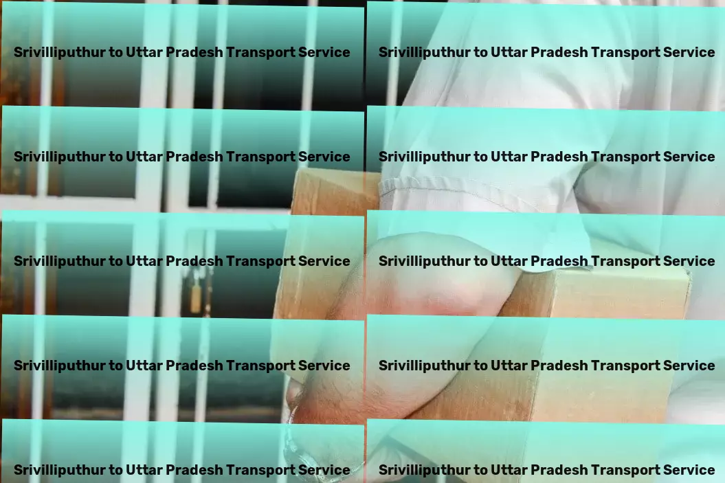 Srivilliputhur to Uttar Pradesh Transport Nationwide package dispatch